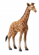 COLLECTA Tinklinės žirafos jauniklis (L) 88535