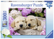 RAVENSBURGER dėlionė Dogs In The Basket 300vnt, 13235