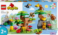 10973 LEGO® DUPLO® Town Laukiniai Pietų Amerikos gyvūnai