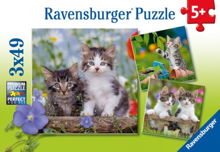 RAVENSBURGER dėlionės Cuddly Kittens 3Xx49d., 8046 8046