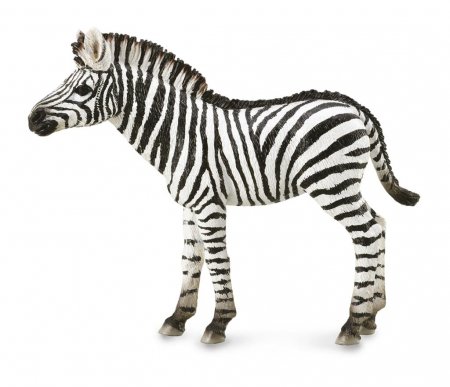 COLLECTA zebras (M), 88850 88850