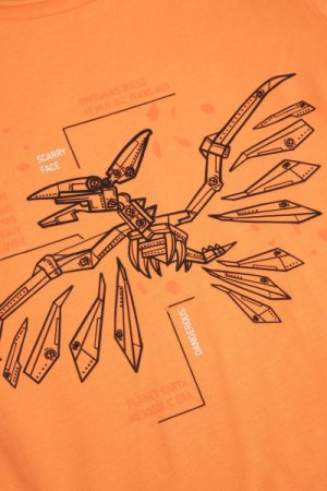 COCCODRILLO marškinėliai trumpomis rankovėmis DESERT EXPLORER KIDS, oranžiniai, WC4143206DEK-006- 