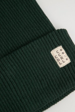 COCCODRILLO kepurė BASIC ACCESSORIES, žalia, WC4364301BAC-011-0 