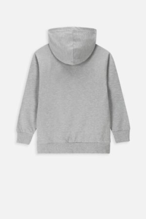 COCCODRILLO džemperis su gobtuvu LICENCE BOY DISNEY, pilkas, WC4132302LBD-019- 