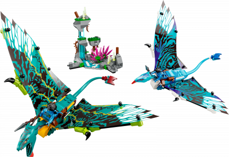 75572 LEGO® Avatar Džeiko ir Neitiri pirmasis skrydis Šmėkla 75572