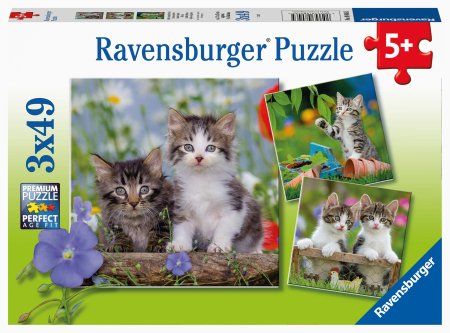 RAVENSBURGER dėlionės Cuddly Kittens 3Xx49d., 8046 8046
