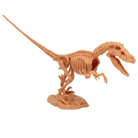 MEGASAUR MIGHTY dinozauro skeleto rinkinys 2in1, asort., 16944C 16944C