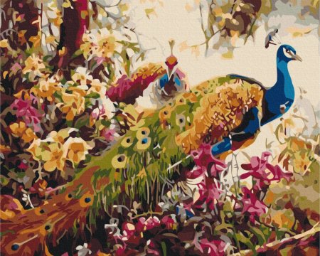 BRUSHME spalvinimo pagal skaičius rinkinys Blooming peacocks, BS52197 BS52197