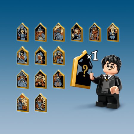76430 LEGO® Harry Potter™ Hogvartso pilies pelėdynas 