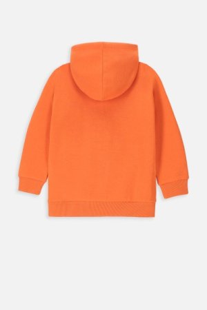 COCCODRILLO džemperis su gobtuvu NATURE KIDS, oranžinis, WC4132301NAK-006- 