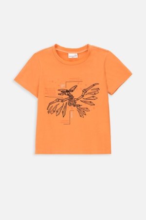 COCCODRILLO marškinėliai trumpomis rankovėmis DESERT EXPLORER KIDS, oranžiniai, WC4143206DEK-006- 