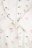 COCCODRILLO šliaužtinukas ilgomis rankovėmis UNDERWEAR FRUITS GIRL, baltas, WC4404101UFG-001-0 