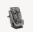 JOIE automobilinė kėdutė EVERY STAGE R129, cobble stone, C2117AACBL000 
