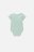 COCCODRILLO smėlinukas trumpomis rankovėmis UNDERWEAR SPECIAL BOY, mint, WC4412701USB-031-0 