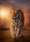 CLEMENTONI Dėlionė Tigras 1500pcs., 31806 31806